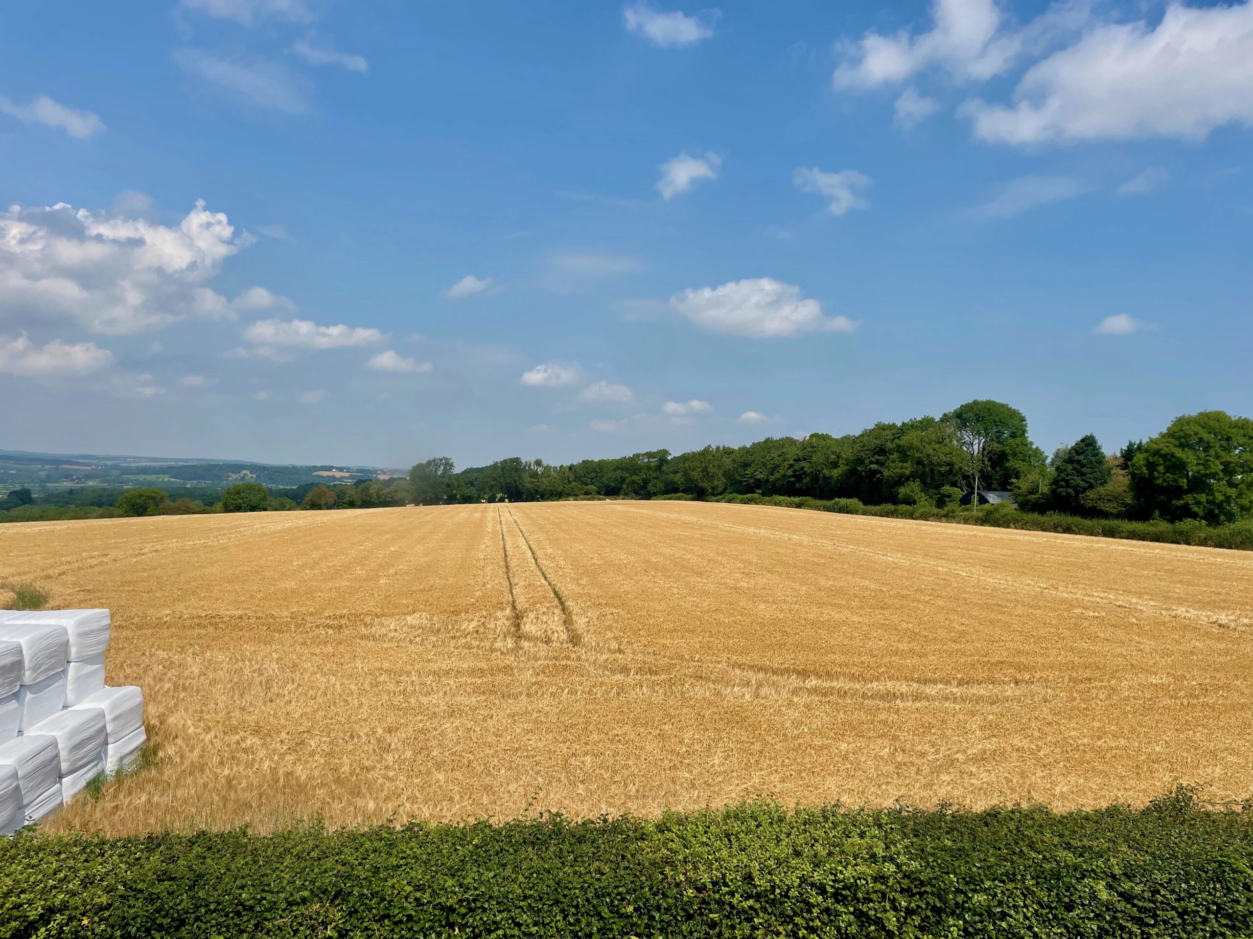meeting-room-scenic-view